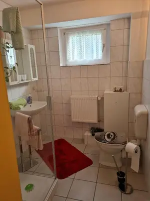 Ein Badezimmer in der Unterkunft Haus am Waldesrand