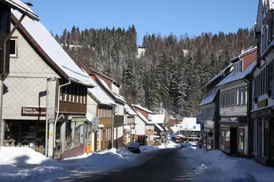 Harz-Sonne im Winter