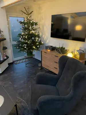TV/Unterhaltungsangebot in der Unterkunft Unser Ferienhaus im Harz