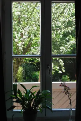 Ein Garten an der Unterkunft Ferienwohnungen an der Kaiserpfalz