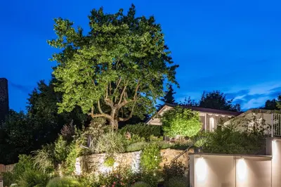Ein Garten an der Unterkunft AKZENT Hotel Villa Saxer