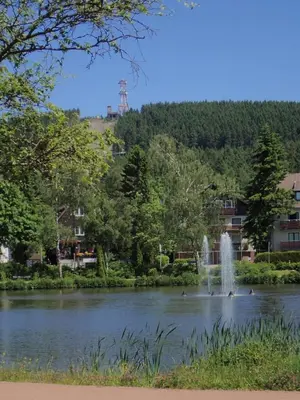 Naturlandschaft in der Nähe der Ferienwohnung