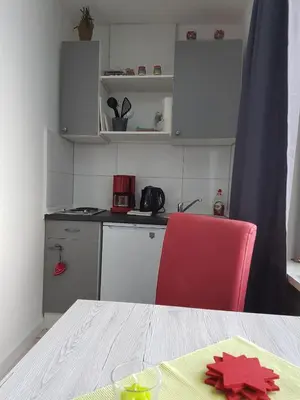 Küche/Küchenzeile in der Unterkunft Apartment HarzZwerg