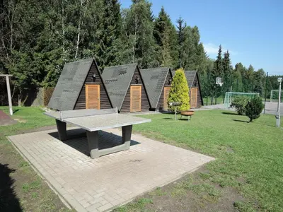 Ein Garten an der Unterkunft ****FH Blauvogel 60 Harz