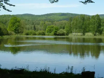 Naturlandschaft in der Nähe der Ferienwohnung