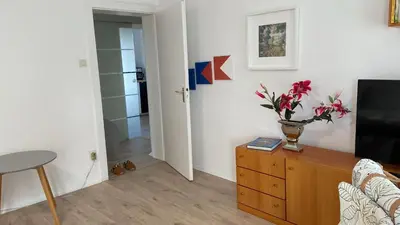 TV/Unterhaltungsangebot in der Unterkunft Zollhaus 26
