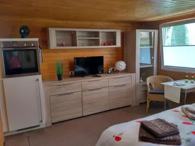 TV/Unterhaltungsangebot in der Unterkunft Poolhaus im Südharz
