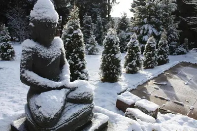 Ferienhaus Thale im Winter