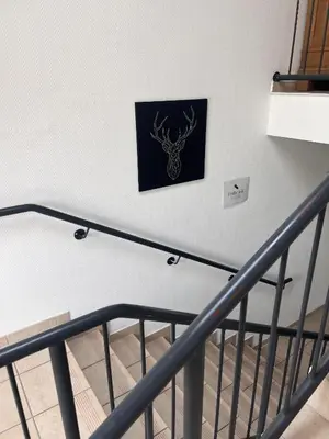 TV/Unterhaltungsangebot in der Unterkunft Hotel zur Radau