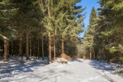 Naturlandschaft in der Nähe des Ferienhauses