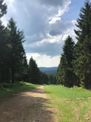 Naturlandschaft in der Nähe der Ferienwohnung