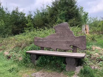 Ein Garten an der Unterkunft Hahnenklee Ferienpark 7-511
