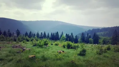 Naturlandschaft in der Nähe der Ferienwohnung