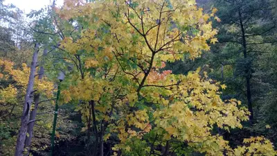 Naturlandschaft in der Nähe der Ferienwohnung