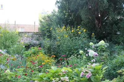 Ein Garten an der Unterkunft Wernigerode - Die bunte Stadt am HARZ
