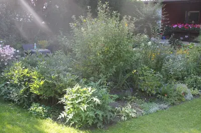 Ein Garten an der Unterkunft Wernigerode - Die bunte Stadt am HARZ