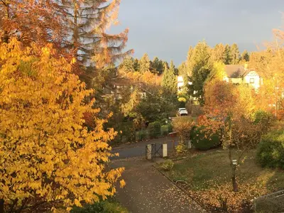 Ein Garten an der Unterkunft Ferienhaus 