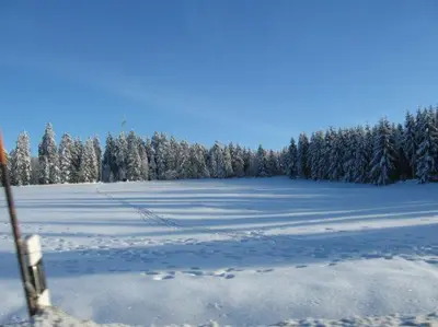 Ferienwohnung Bodehexe 2 im Winter