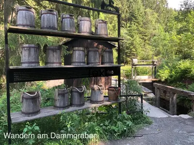 Ein Garten an der Unterkunft Am Mühlenberg