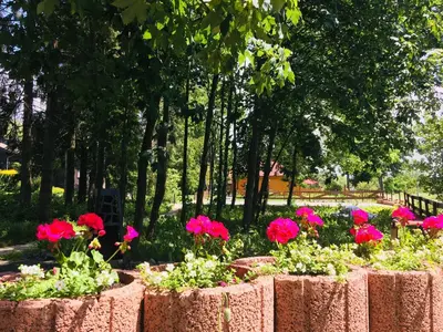 Ein Garten an der Unterkunft Ferienwohnung Harzblick 2