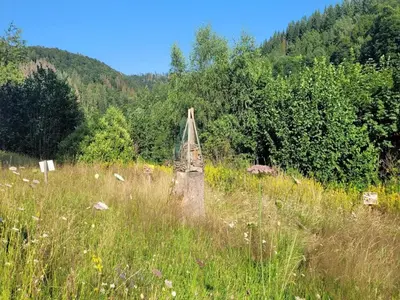 Naturlandschaft in der Nähe des Ferienhauses