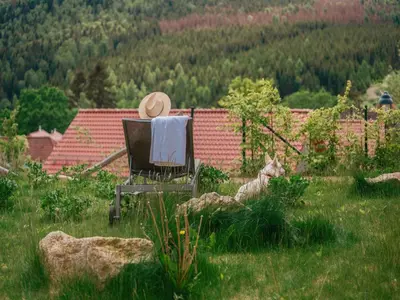 Naturlandschaft in der Nähe des Ferienhauses