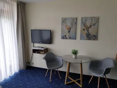 TV/Unterhaltungsangebot in der Unterkunft Apartment am Kranichsee Vier Jahreszeiten