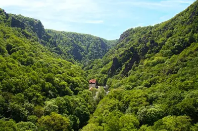 Naturlandschaft in der Nähe der Ferienwohnung