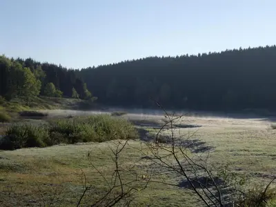 Naturlandschaft in der Nähe des Ferienhauses