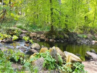 Naturlandschaft in der Nähe des Ferienhauses
