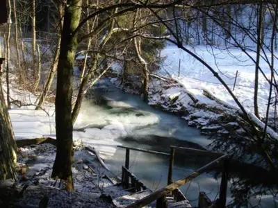 Naturlandschaft in der Nähe des Ferienhauses