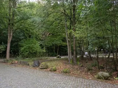 Naturlandschaft in der Nähe der Ferienwohnung