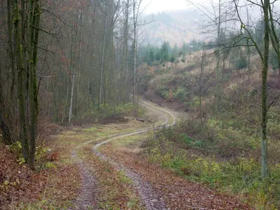 Naturlandschaft in der Nähe der Ferienwohnung