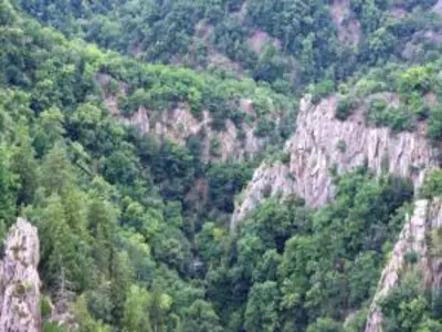 Naturlandschaft in der Nähe der Ferienwohnung