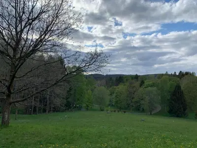 Naturlandschaft in der Nähe der Ferienwohnung