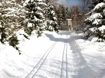 Entspannender Skiurlaub in Braunlage im Winter