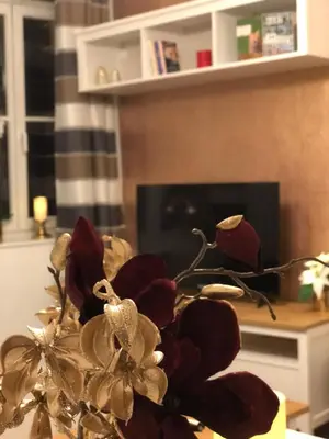 TV/Unterhaltungsangebot in der Unterkunft Ferienwohnung am Schlosspfad No. 2