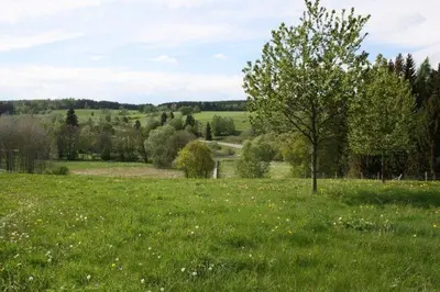 Naturlandschaft in der Nähe des Ferienhauses