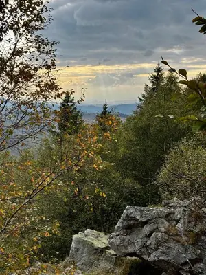 Naturlandschaft in der Nähe der Ferienwohnung