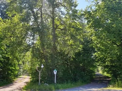 Naturlandschaft in der Nähe des Gasthauses