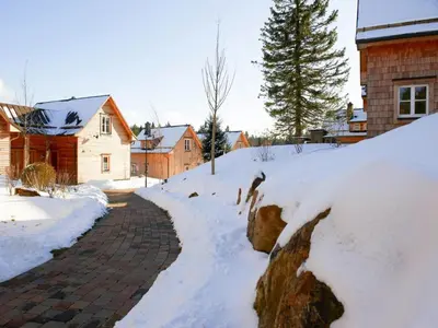 Holiday homes in Torfhaus Harzresort, Torfhaus im Winter