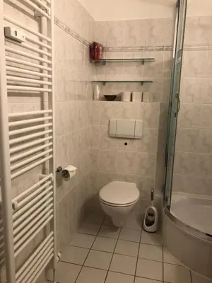 Ein Badezimmer in der Unterkunft Pano Hohegeiß App 363 mit Wlan