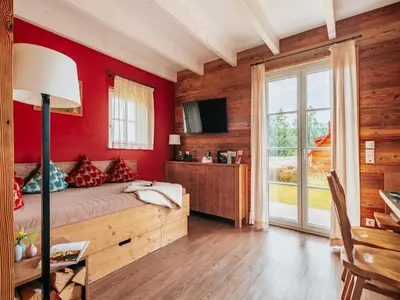 TV/Unterhaltungsangebot in der Unterkunft Ferienhaus in Schierke for 6 Personen