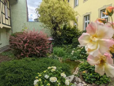 Ein Garten an der Unterkunft Ferienwohnungen An der Bimmelbahn Wernigerode