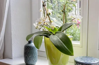 Ein Garten an der Unterkunft An der Gose - Gästezimmer & Appartement