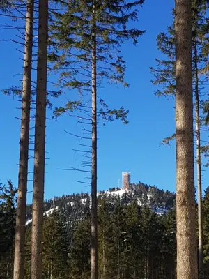Ein allgemeiner Bergblick oder ein Berglick von der Ferienwohnung aus