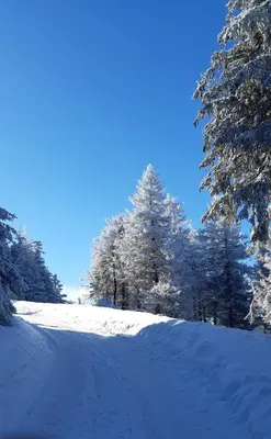 Harz-Glück1 im Winter