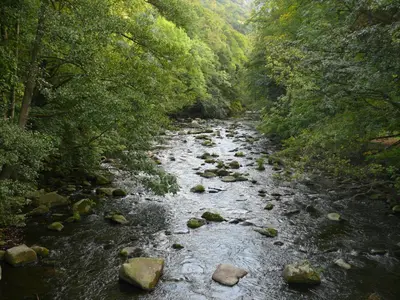 Naturlandschaft in der Nähe der Ferienwohnung