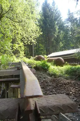 Naturlandschaft in der Nähe der Ferienwohnung