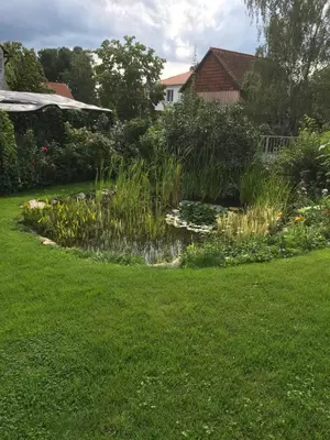 Ein Garten an der Unterkunft Schöne gemütliche Ferienwohnung mit Kamin I im Harz